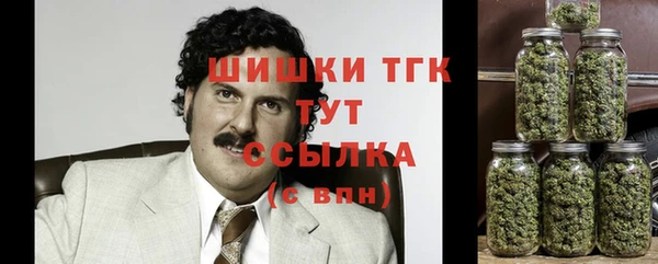 первитин Каменногорск