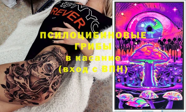 первитин Каменногорск
