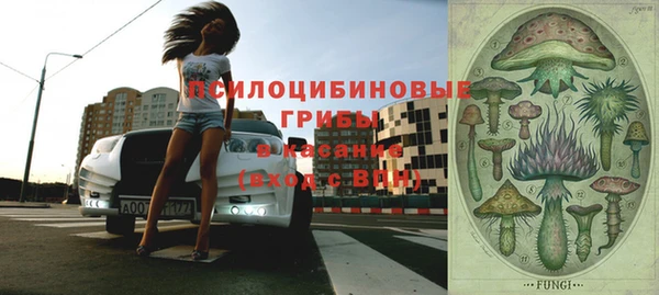 первитин Каменногорск